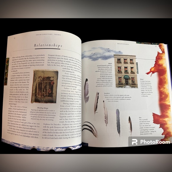 The Secret Language of DREAMS a visual key & their meanings softcover book - Picture 4 of 8